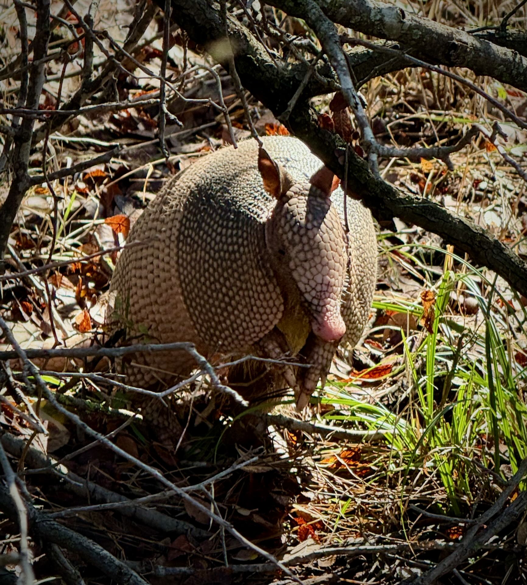 November Slipped by at Mach Speed