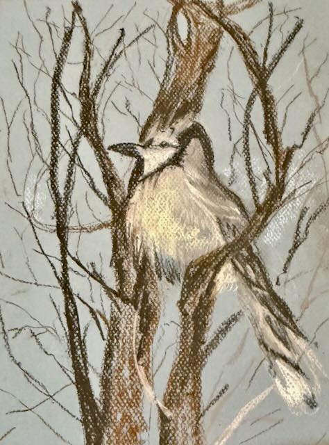 Bird Pastel